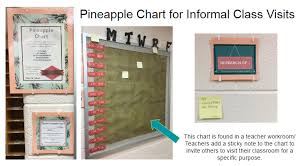 learning walks vs pineapple charts edutechnicallyspeaking