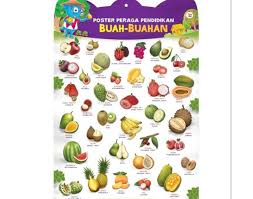 Gambar mewarnai buah buahan segar gambar mewarnai terdapat gambar gambar aneka buah buahan segar seperti buah the gallery for lukisan buah buahan tempatan manggis sumber incolors.club. Buah Buahan Tempatan Meaning