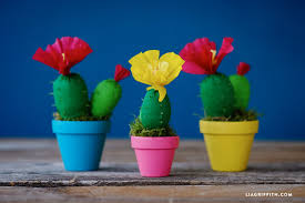 Make a fake cactus,home decor,paper craft,paper crafts,(origami) easy to decor any space,origami cactus tutorial,3d origami cactus tutorial,cactus diy,cactus diy room decor,diy cactus and succulent room decor,diy cactus party decor,diy cactus garden ideas,paper cactus tutorial,diy cactus na. Crepe Paper Cactus Plants Lia Griffith