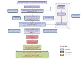 Event Organizing Process Flow Chart Bangalore Ascenders