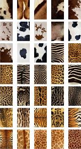 Free Download Clipart Animal Furs Animal Print Wallpaper Animal Prints Pattern Animal Print Furniture