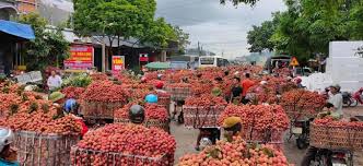 Jun 09, 2021 · trong cuộc điện đàm với lãnh đạo bộ thương mại trung quốc, bộ trưởng công thương nguyễn hồng diên đề nghị cơ quan chức năng hai nước tại các cửa khẩu xem xét thực hiện một số biện pháp như kéo dài thời gian thông quan, mở 'luồng xanh', thực hiện 'hẹn giờ thông quan từ xa' 24h/24h, mở thêm các cửa khẩu. Gá»¡ Kho Cho Tieu Thá»¥ Nong Sáº£n á»©ng Dá»¥ng Chuyá»ƒn Ä'á»•i Sá»' Ä'á»ƒ Tieu Thá»¥ Váº£i Thiá»u