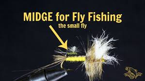 Midge flies, or chironomids, which resemble mosquitoes but don't bite, commonly occur in wastewater treatment and lagoon systems along lake shores, along with their larval form, red worms. What Is A Midge In Fly Fishing And How To Select The Best Guide Recommended