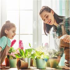 The theme of the world nature conservation day 2021 is 'forests and livelihoods: Fa6 P2wvx Zxqm