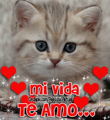 Https Encrypted Tbn0 Gstatic Com Images Q Tbn And9gcqlkuwymmmqf5zh 4ylo Ma1 4wuf78ri5k1q Usqp Cau