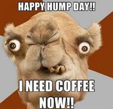 But it is not this day aragorn. 35 Funniest Hump Day Meme Meme Central