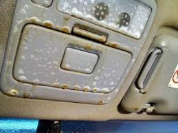The lingering smell of cigarette smoke can bother just about anyone, including smokers themselves. How To Remove Cigarette Smoke Odor And Smell From A Car