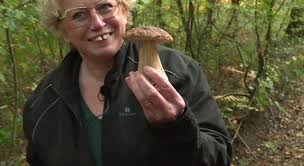 Video 2019 Annee Exceptionnelle Pour La Cueillette Des Champignons France 3 Hauts De France Cueillette Champignon Champignon Cueillette