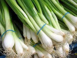 What&#39;s Fresh? Green Onions! | Chequamegon Food Co-op