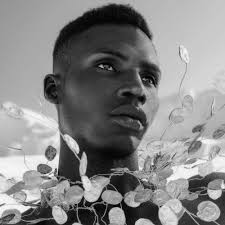 International photography contest 8TH 35AWARDS