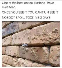 Fresh Memes For Today 247 Funnyfoto Cool Optical Illusions Funny Memes Illusions