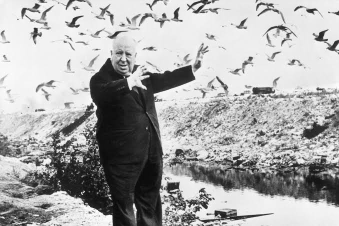 The DVD Room: "The Birds" - Salon.com