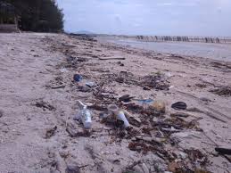 Banyak negara yang mengeluhkan jumlah sampah plastik yang terus meningkat dan perilaku pembuangan sampah yang berakhir di laut. Kawasan Pantai Di Bangka Mulai Dipenuhi Plastik