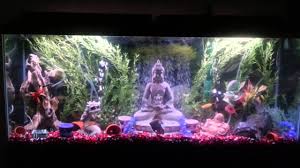 The asian theme is probably one of the most famous themes among fish enthusiast, probably because of how easy it is to get asian style fish tank decorations. Asian Theme Fish Tank Youtube