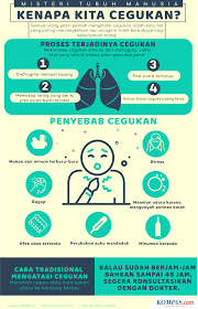Di sekitar kita terdapat banyak misteri yang menyangkut tubuh kita. Infografik Misteri Tubuh Manusia Kenapa Kita Bisa Cegukan