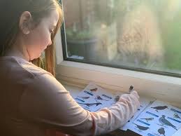 Pilgrim Academy News