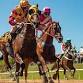 June  27 Winter Race Day 2026 event image
