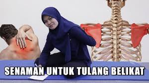 We did not find results for: Senaman Untuk Tulang Belikat Thoracic Mobility Exercise Youtube