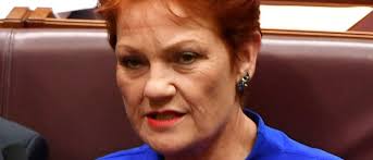 Pauline Hanson ripped: 'She's got no idea' | Gatton Star