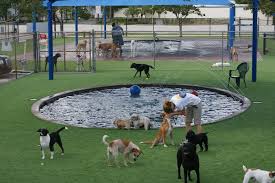 We've installed millions of square feet across the country in backyards, doggy daycares, boarding facilities, dog parks, airport pet relief areas, and veterinary clinics. How To Create An Amazing Outdoor Play Area For Your Dog Buy Install And Maintain Artificial Grass