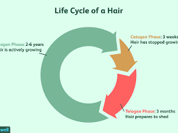 Studying hair colors is very complex, because not all hair colors are the same and they contain many different chemicals. Thyroid Disease And Hair Loss