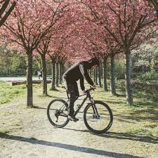 Home - RC Dynamo Ruhr e.V members gathering~!