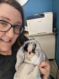 Jacqui Paterson's Vets