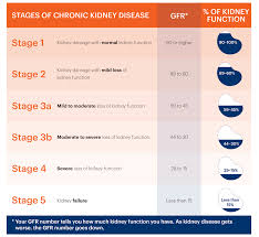 Estimated Glomerular Filtration Rate Egfr National