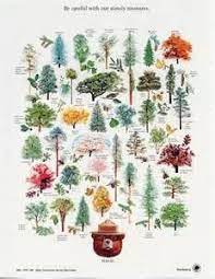 Here they are, our top five strains of flower we smoked in 2019. 25 Washington State Native Plants Ideas Native Plants Plants Washington State
