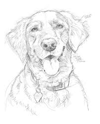Pencil Sketches Of Dogs Www Pixshark Com Images Dog Drawing Easy Animal Drawings Dog Sketch