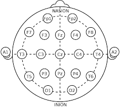 10 20 System Eeg Wikipedia