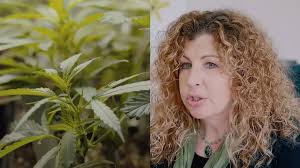 We spoke with a medical professional to clear up some misconceptions about  cannabis