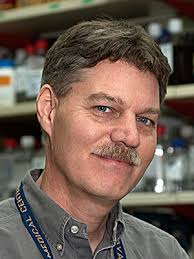 2016 Annual Report of the Division of Intramural Research, NICHD