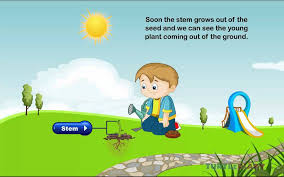 We did not find results for: Videos About Plants Teacher Approved Simply Kinder