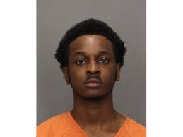 Felony Murder, Robbery Charges Filed In Woodbury Slaying