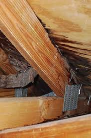 We offer fast, affordable, and reliable roof repairs for commercial and residential customers. Roof Repair Contractors In Sarasota Fl Roofing Maintenance Roof Restoration Venice Fl Englewood Fl North Port Fl Mark Kaufman Roofing