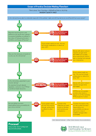 Professional Responsibility Flow Chart Diagram