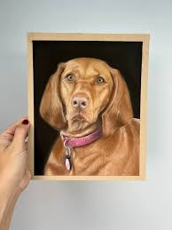 Happy new year from Daisy🥂🍾🎆🎊