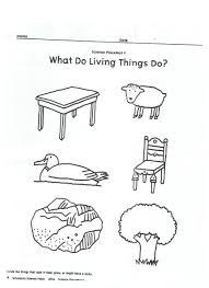 Living Vs Nonliving Activity Paper 2 Kindergarten Worksheets Kindergarten Worksheets Printable Kindergarten Science