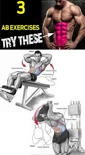 Epingle Sur Muscle
