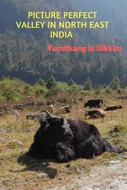 Maybe you would like to learn more about one of these? Yumthang Valley Sikkim India Valleyofflowers Sikkim Northeastindia Yaks Sikkim Traveling By Yourself Valley Of Flowers
