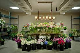 To put it simply, we believe that life is made up of a million beautiful moments and by adding a touch of zing, we can bring a smile to them all. Get In Touch Simply Beautiful Flowers Gifts