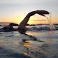 2025/26 OWS Rd 3 Coogee — Rockingham Stingrays event image