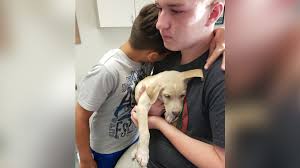 «» press to search craigslist. Puppy With Deadly Virus Sold To Family On Craigslist Pasco County Family Says