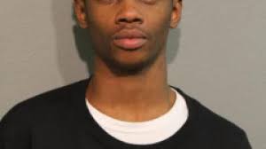 Cat doused in boiling water still 'critical' at North Side shelter