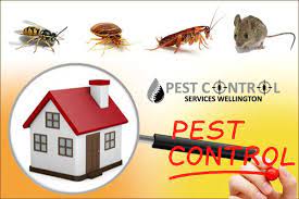 Make Your Residence Pest Free With Professional Pest Control Service In Wellington Bedbug Rod Pest Control Services Pest Control Eucalyptus Insect Repellent
