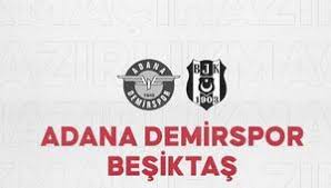 Temizlik görevlisi ile karganın yüzleri gülümseten dostluğu cep telefonu kamerasına yansıdı. Besiktas Hazirlik Maci Haberleri Son Dakika Besiktas Hazirlik Maci Hakkinda Guncel Haber Ve Bilgiler