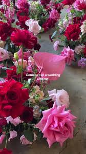 Tegan Graves (@olive_collective)