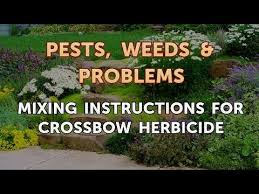 Mixing Instructions For Crossbow Herbicide Youtube