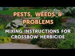 mixing instructions for crossbow herbicide youtube